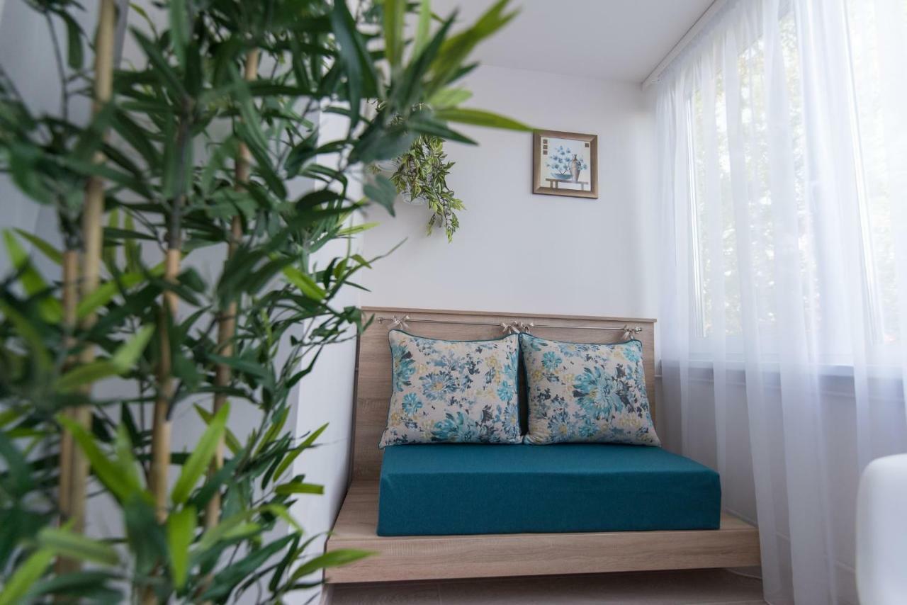 Exotic Rami'S Apartments 티미쇼아라 외부 사진