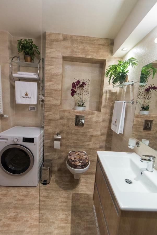 Exotic Rami'S Apartments 티미쇼아라 외부 사진