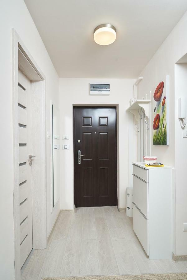 Exotic Rami'S Apartments 티미쇼아라 외부 사진